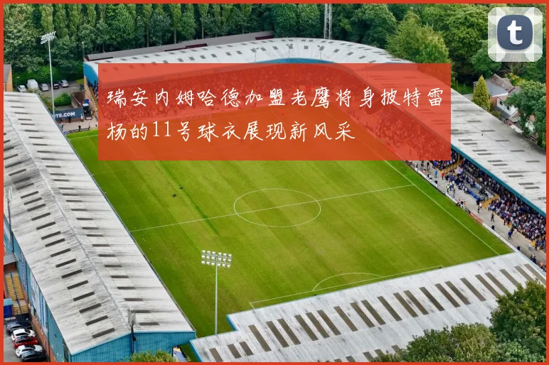 瑞安内姆哈德加盟老鹰将身披特雷杨的11号球衣展现新风采